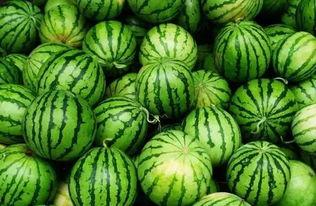 942412吃瓜群,一场网络热议背后的真相