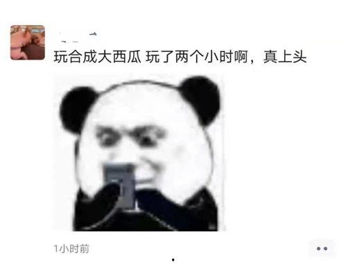 每日吃瓜榜,揭秘娱乐圈最新热点事件